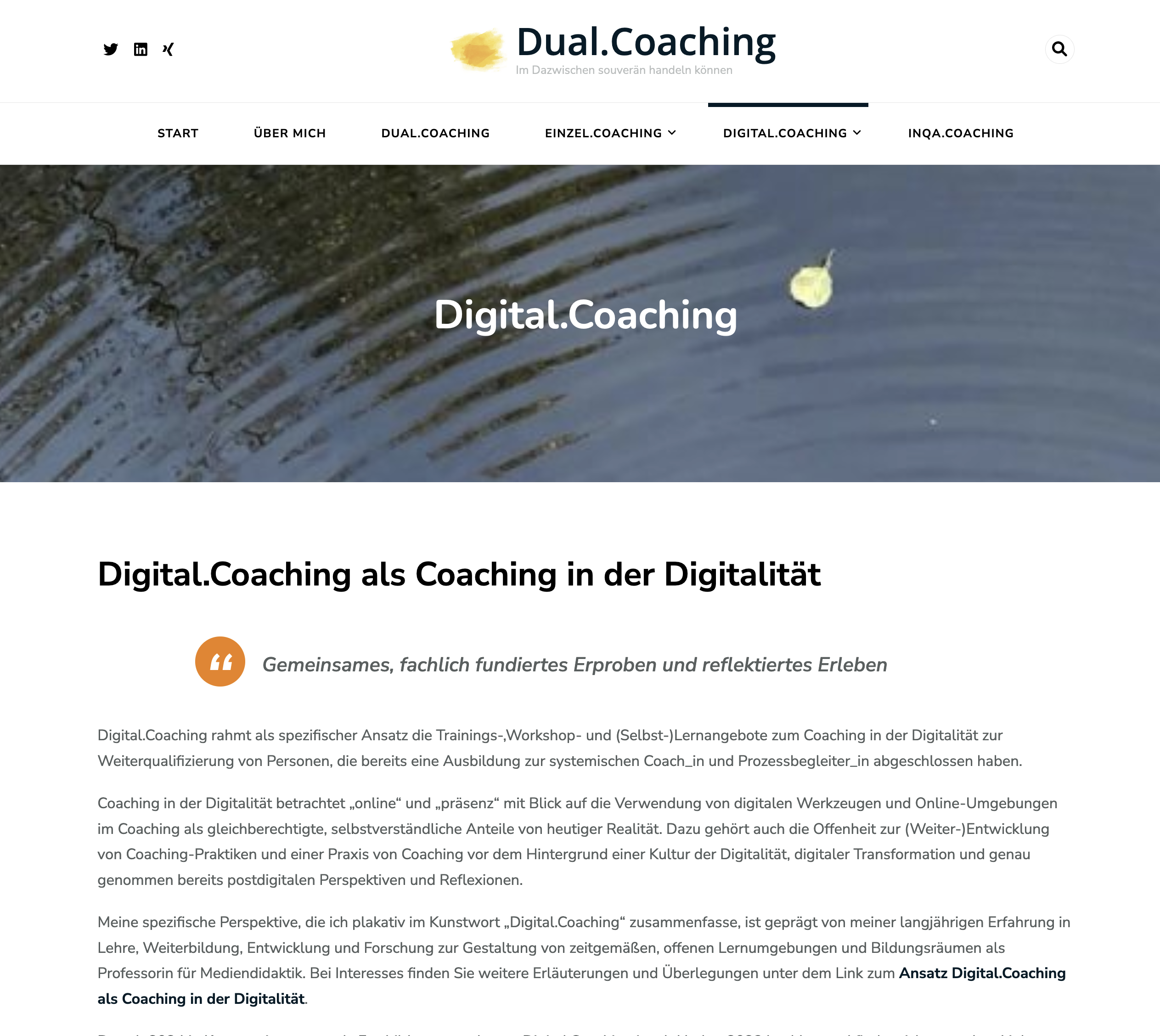 Screenshot Website Dual.Coaching